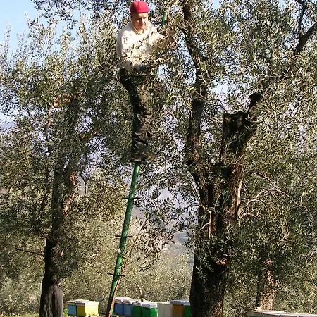 Bauernhof Maso Botes